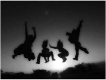 Fifthe Elemt Consulting Differences